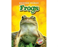 Frogs by Green, Emily K